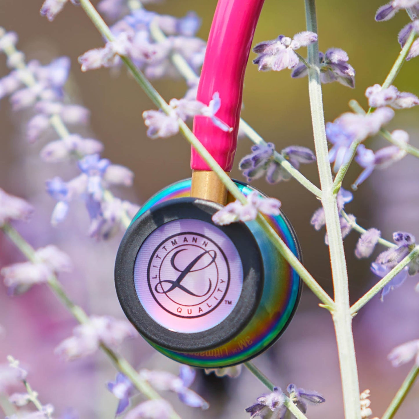 Littmann Classic III  Stethoscope: Raspberry Rainbow 5806